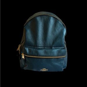 Blue Metallic Coach Backpack